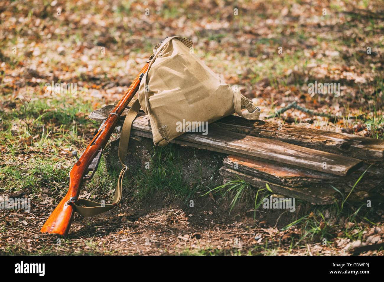 Soviet Russian Rifle Of World War II In Forest Camp Stock Photo