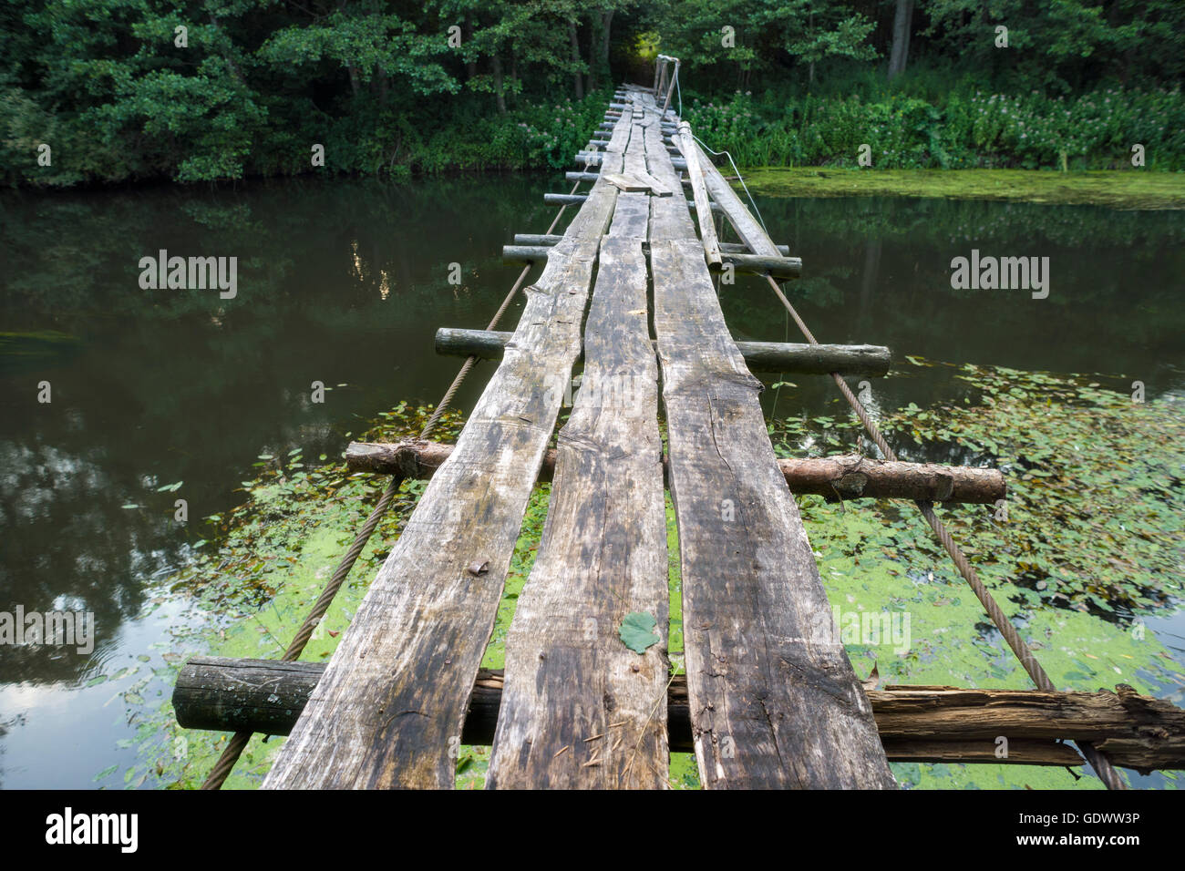 straight wooden rope hanged over forest river waters Stock Photo