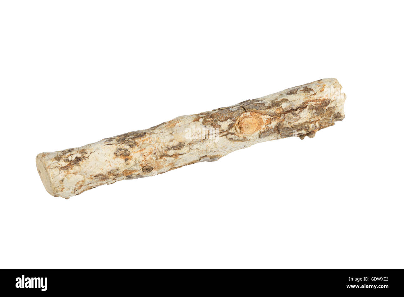 Thanaka myanmar Cut Out Stock Images & Pictures - Alamy