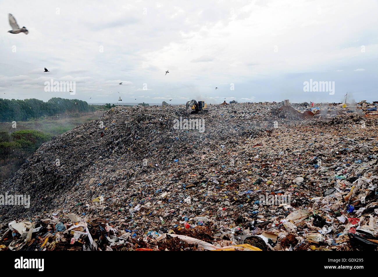 Müllsammler in Brasilia, 2014 Stock Photo