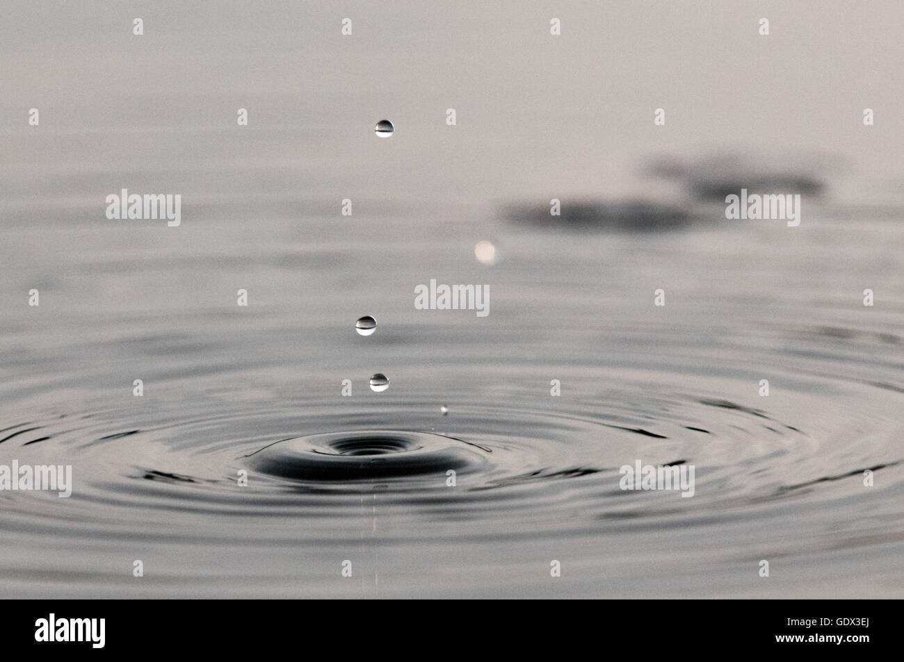 Water dripping into a pond in the evening light Stock Photo - Alamy
