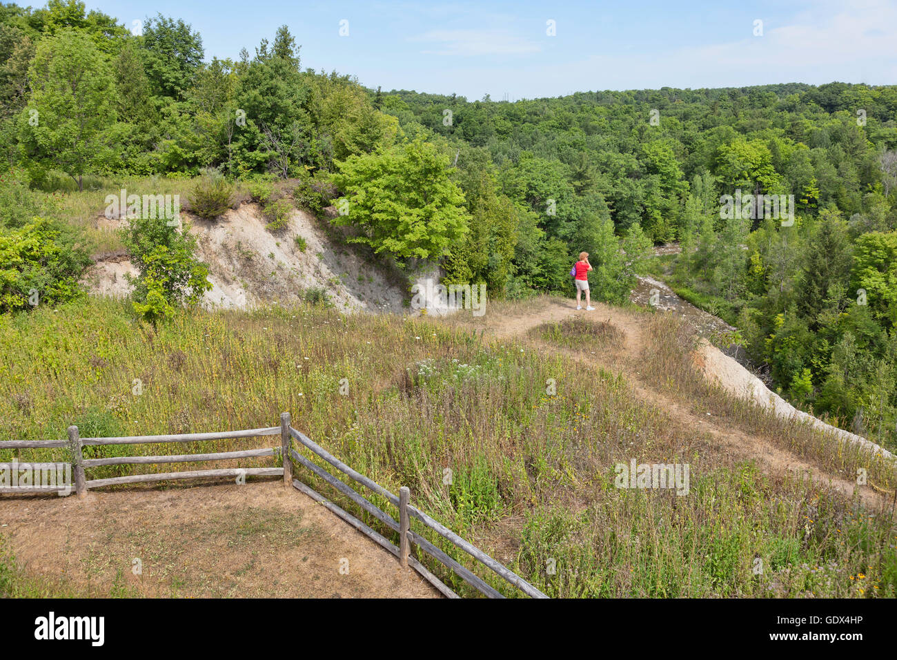 Woman overlooking the valley& river Rouge National Urban Park,Rogue