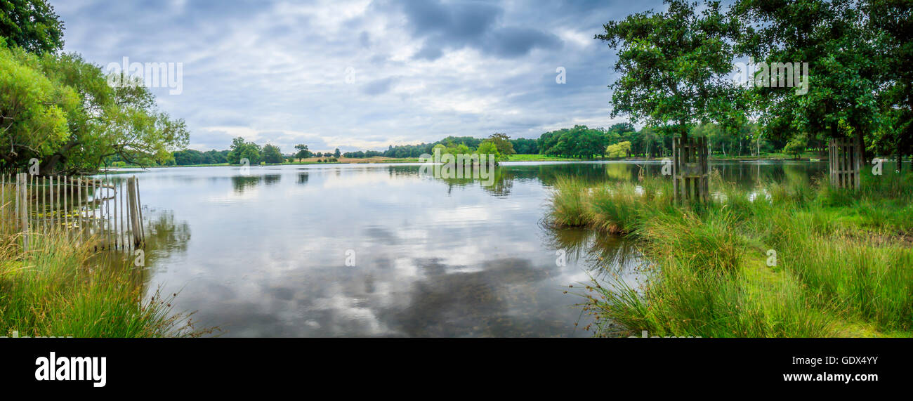 Panoramic view of pan pond lake in Richmond Park London  United Kingdom. Stock Photo