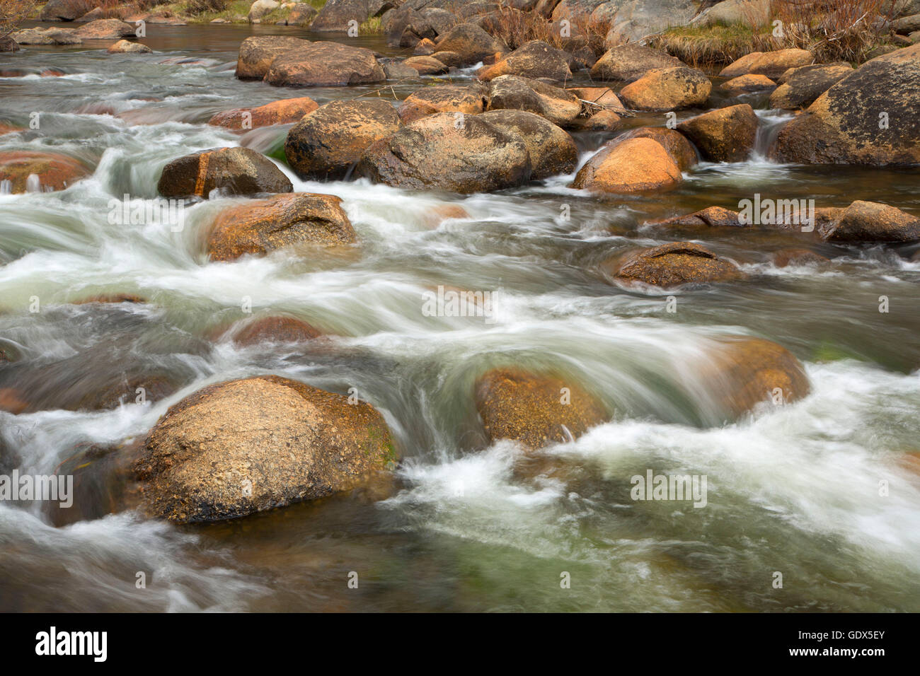 West Fork Carson River, Hope Valley Wildlife Area, Carson Pass National
