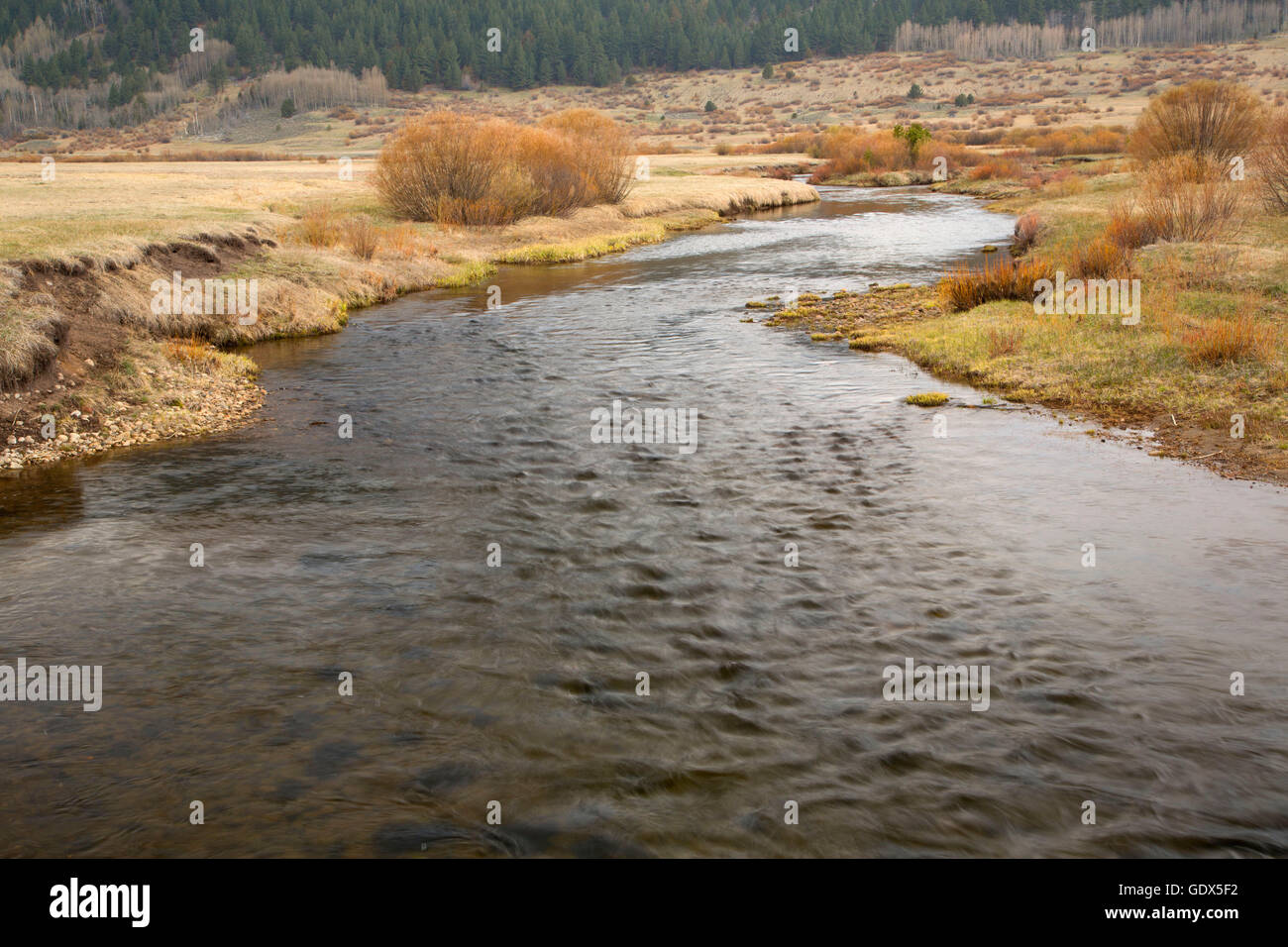 West Fork Carson River, Hope Valley Wildlife Area, Carson Pass National