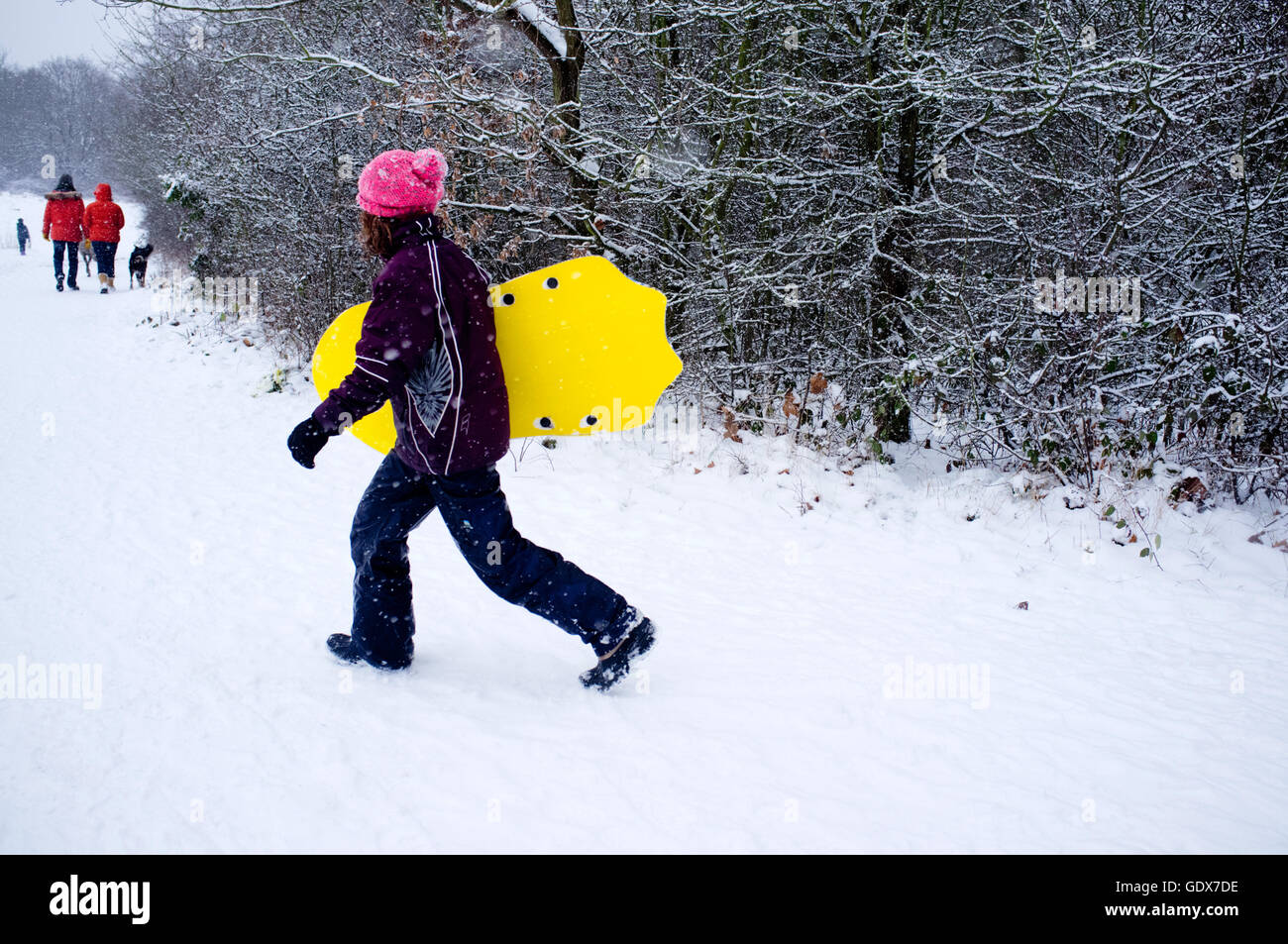 A Woman carries a Toboggan on Hampstead Heath London, England UK Stock