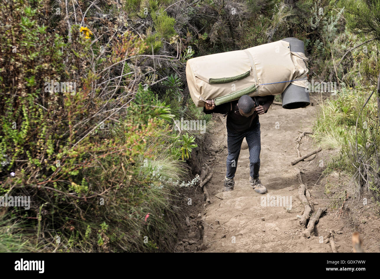 Carrying big bag hi res stock photography and images Alamy