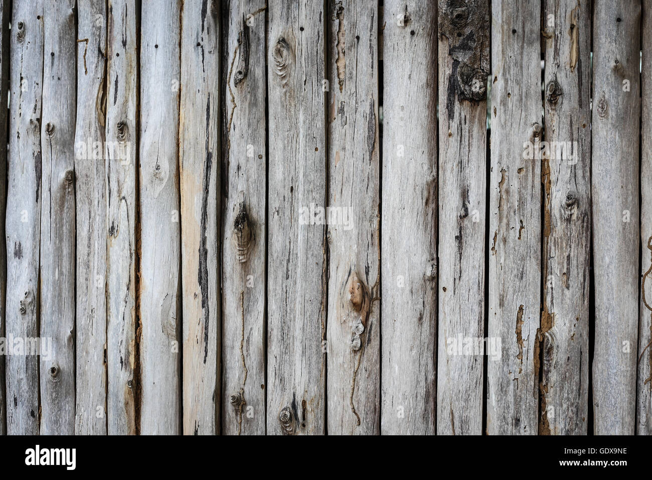 background textural  rustic wooden Stock Photo