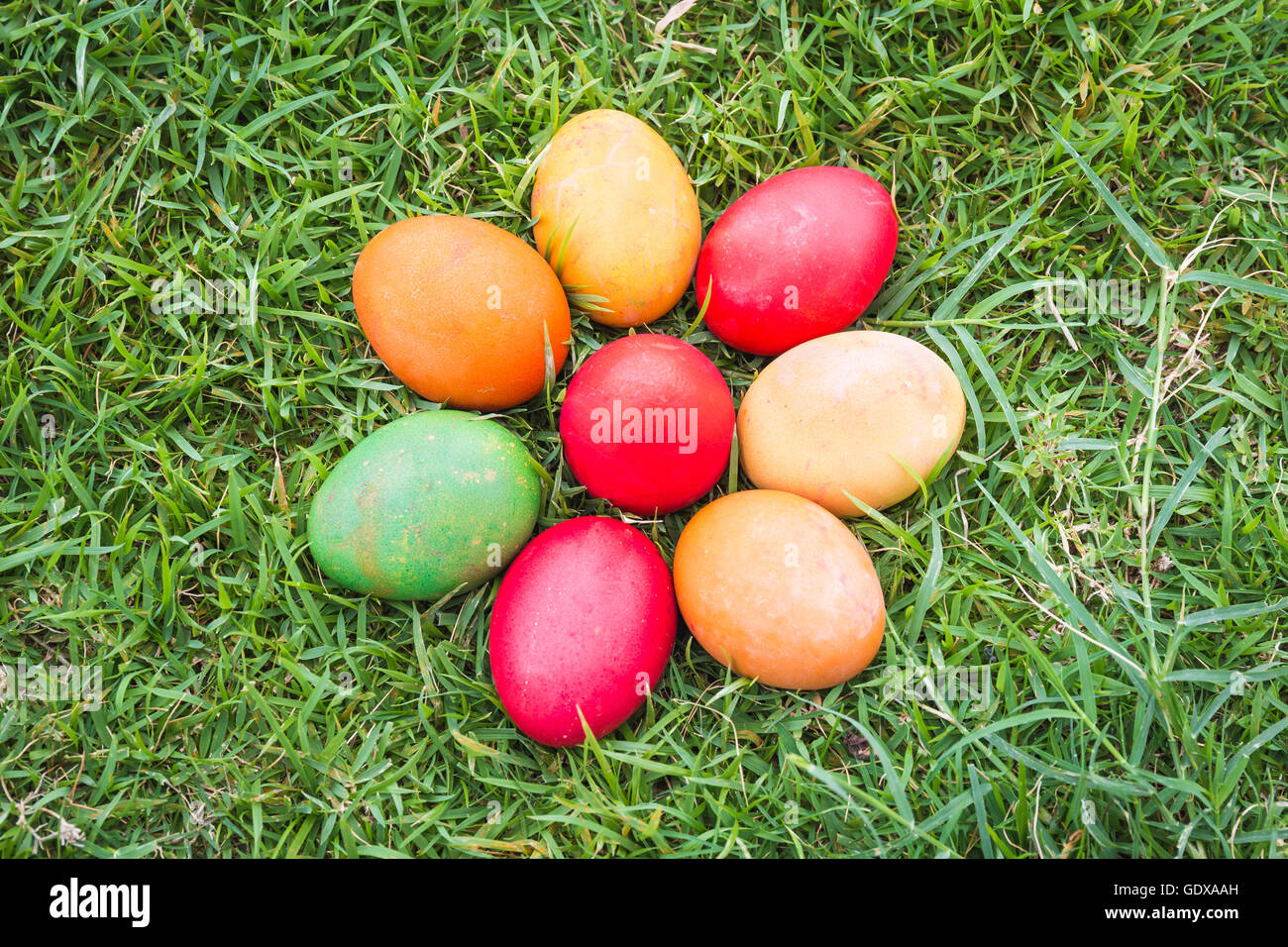 Colorful Easter Eggs with Daisy on Fresh Green Grass Stock Photo - Alamy