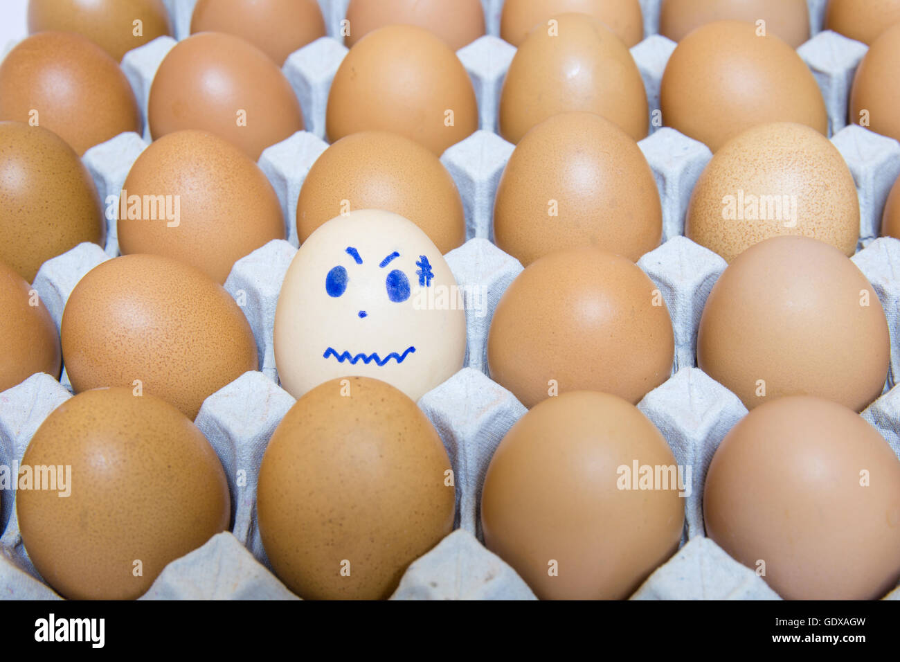 eggs is consumed worry. Stock Photo