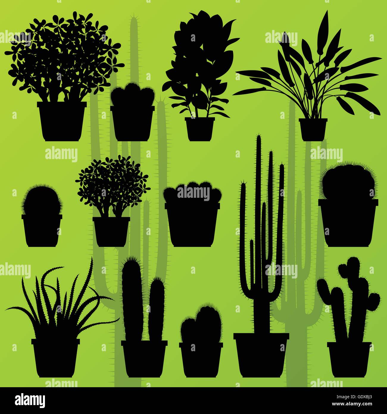 Cactus plant and exotic bushes detailed illustration collection background vector Stock Vector