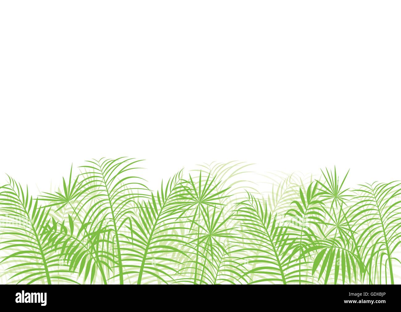 Palm Tree Leaf Vector Background For Poster Stock Vector Art