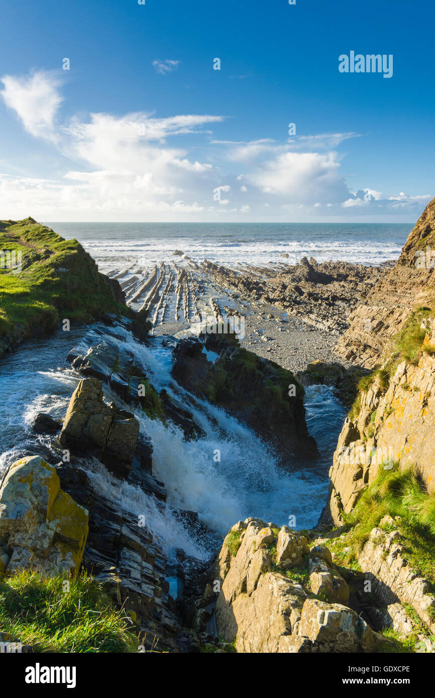 The waterfall on the cliff top at Welcombe Mouth, Cornwall, England. Stock Photo