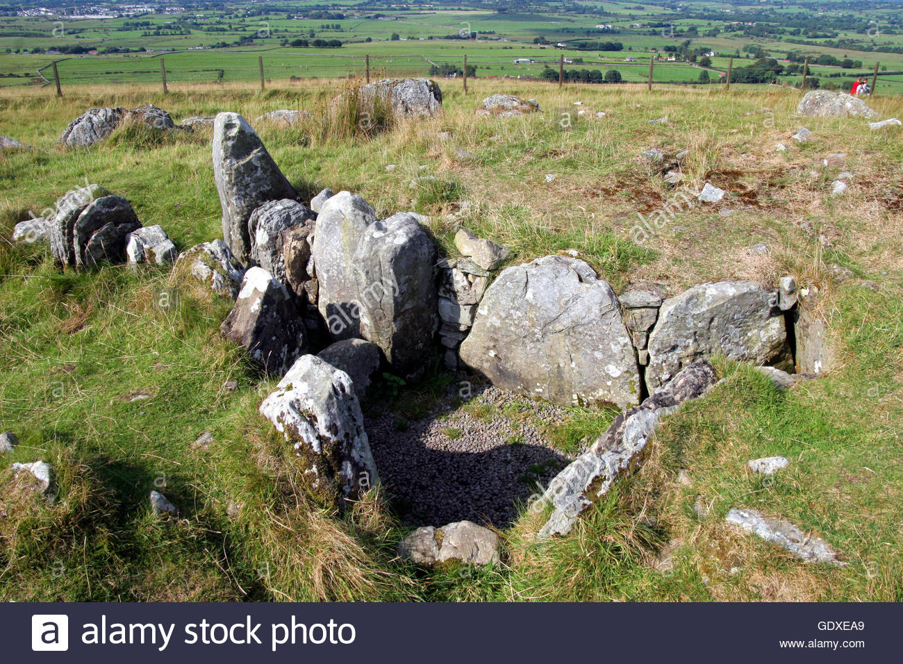 Meath - Dating - Grid