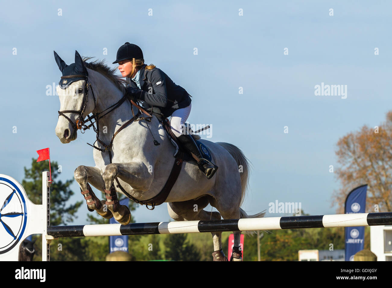 Rider horse equestrian show jumping action in arena Stock Photo - Alamy
