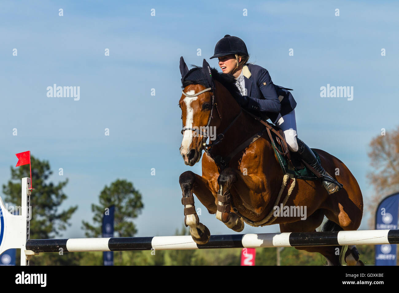 Rider horse equestrian show jumping action in arena Stock Photo - Alamy