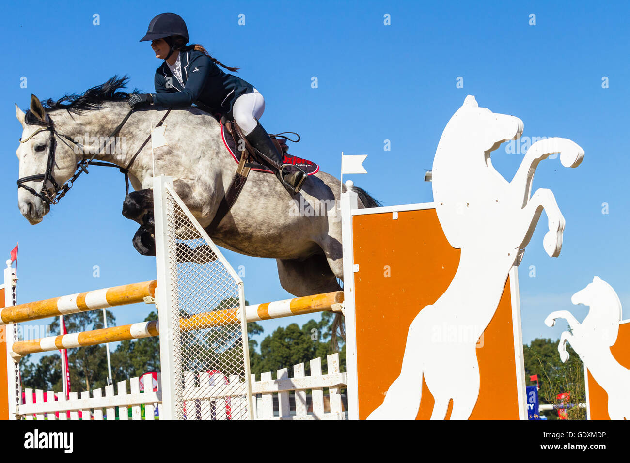 Rider horse equestrian show jumping action in arena Stock Photo - Alamy