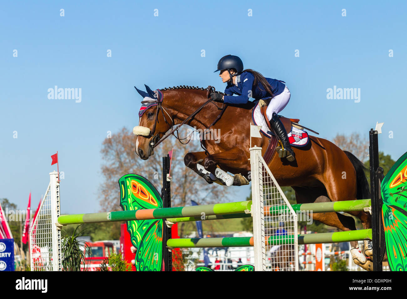 Rider horse equestrian show jumping action in arena Stock Photo - Alamy