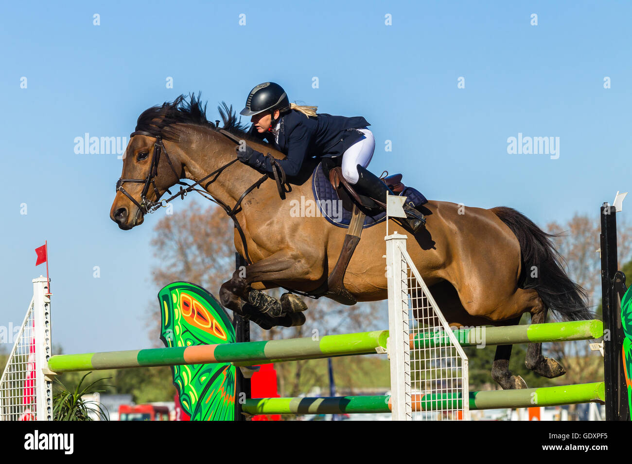 Rider horse equestrian show jumping action in arena Stock Photo - Alamy