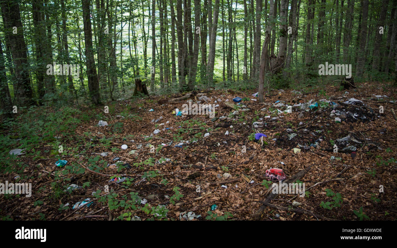 Garbage dump in the woods hires stock photography and images Alamy