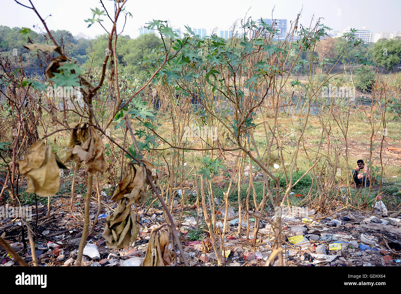 INDIA. Mumbai. 2011. Open toilet Stock Photo Alamy