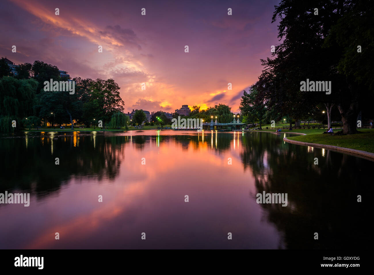 The lake at the Public Garden at sunset, in Boston, Massachusetts. Stock Photo