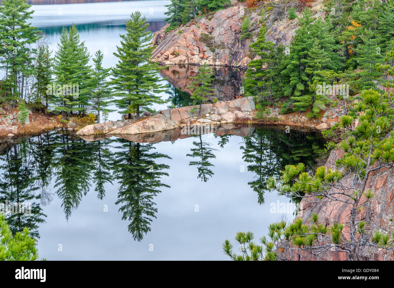 Forest lake in Killarney Park during the fall season Stock Photo Alamy