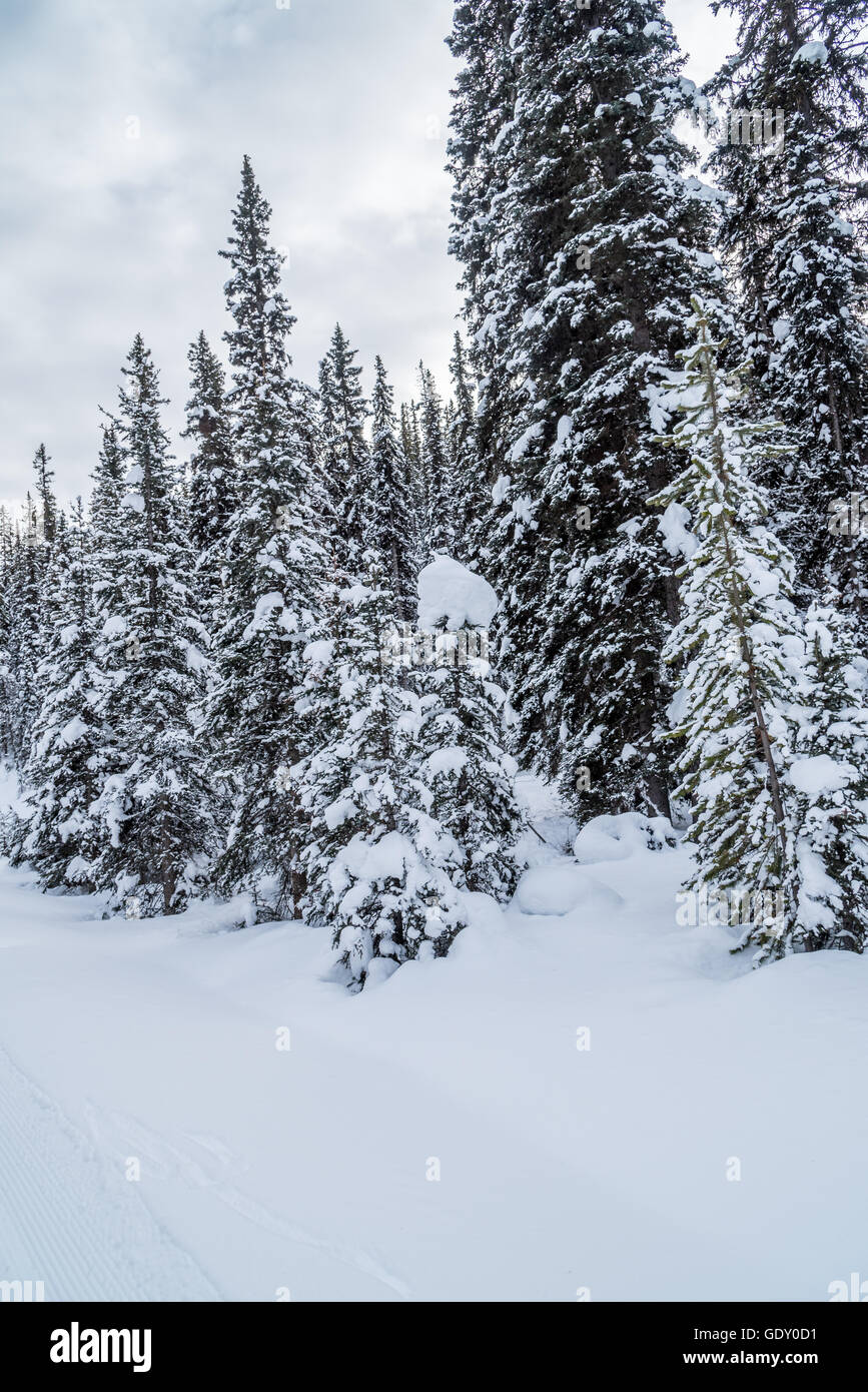 Lake Louise in Banff Park in winter time, Alberta, Canada Stock Photo ...