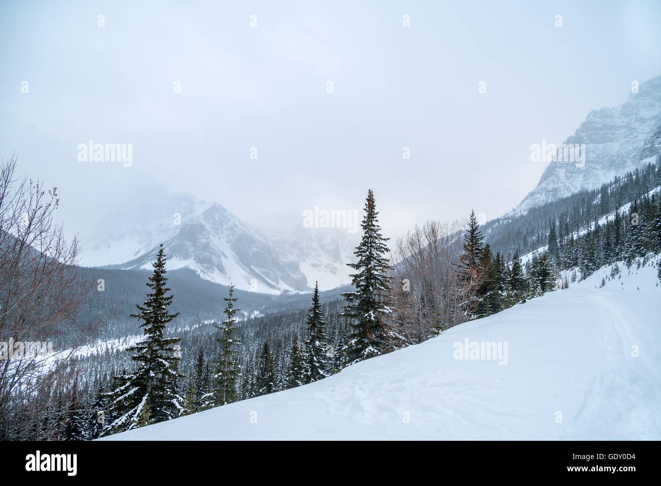 Lake Louise in Banff Park in winter time, Alberta, Canada Stock Photo ...