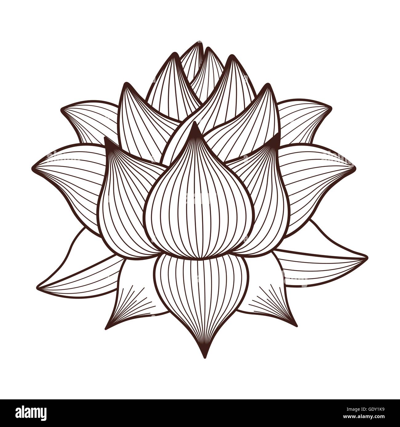 How to Draw Lotus Flower.Step by step easy draw for children, kids,  beginners. - YouTube