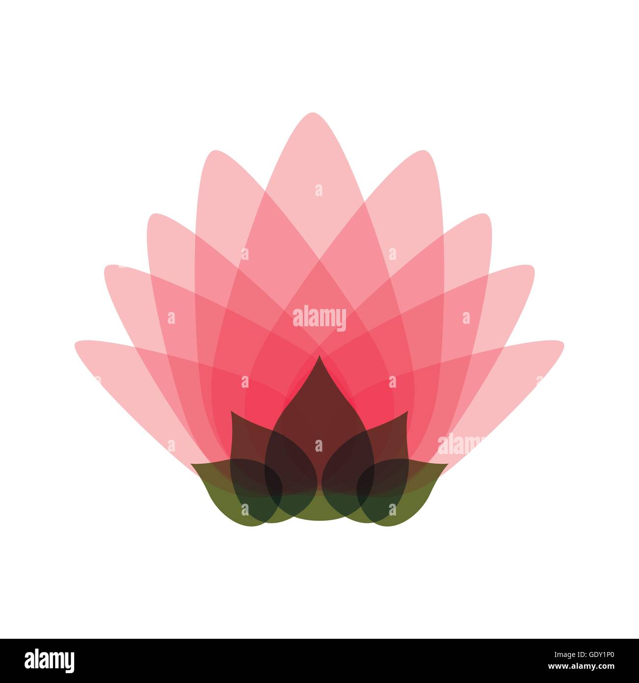 pink lotus flower isolated icon design Stock Vector Image & Art - Alamy