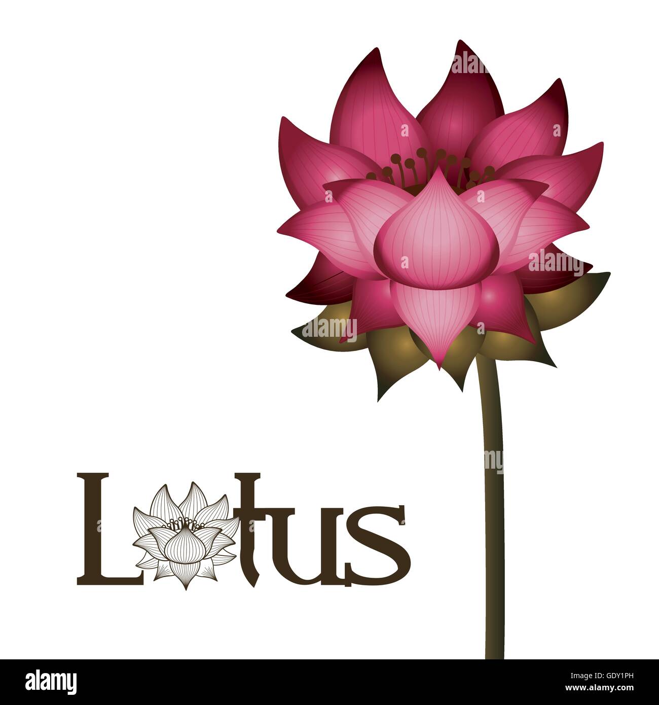 pink lotus flower with stem isolated icon design Stock Vector Image ...