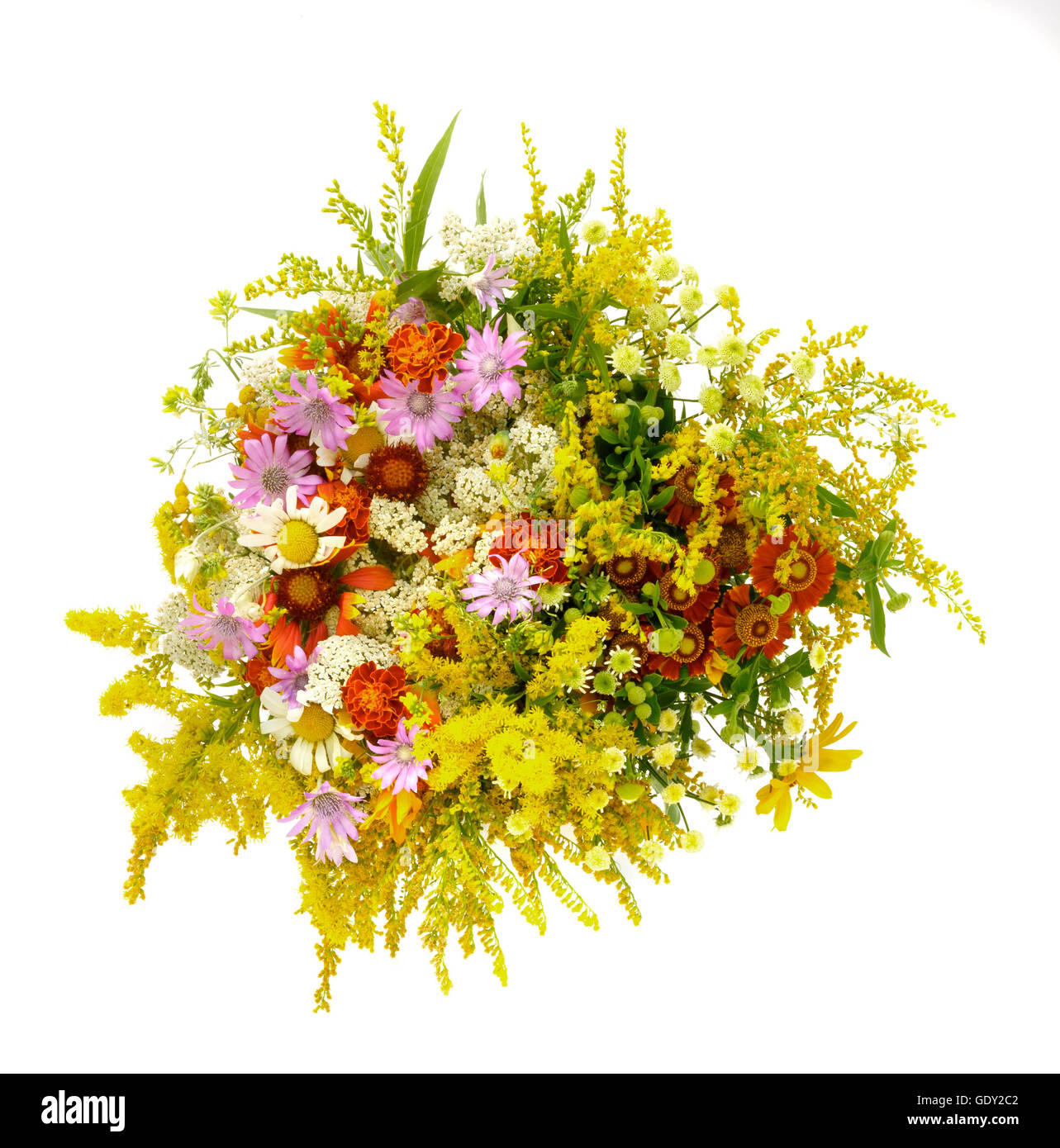 Bouquet of wildflowers on a white background Stock Photo - Alamy
