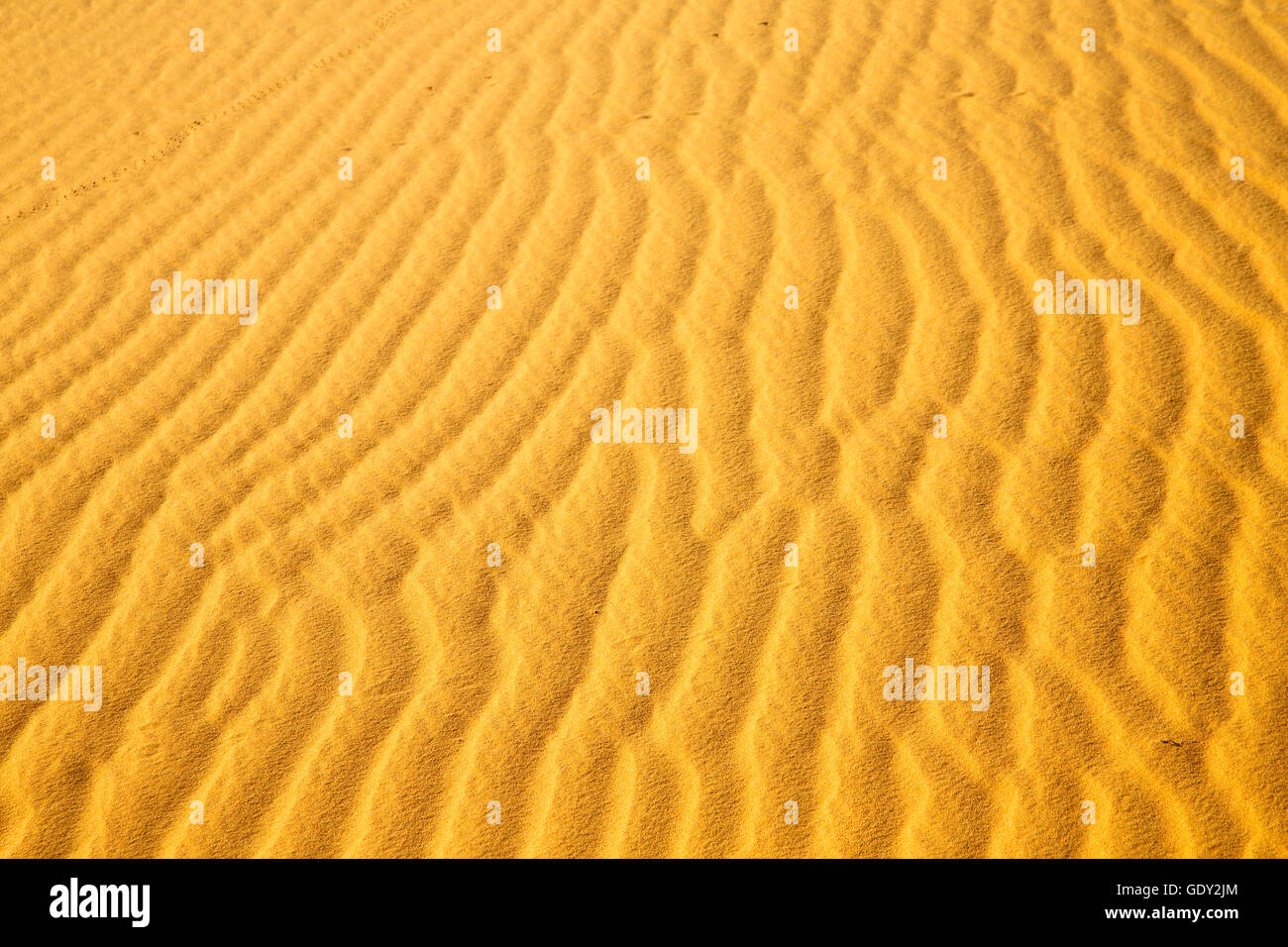 the brown sand dune in the sahara morocco desert Stock Photo - Alamy