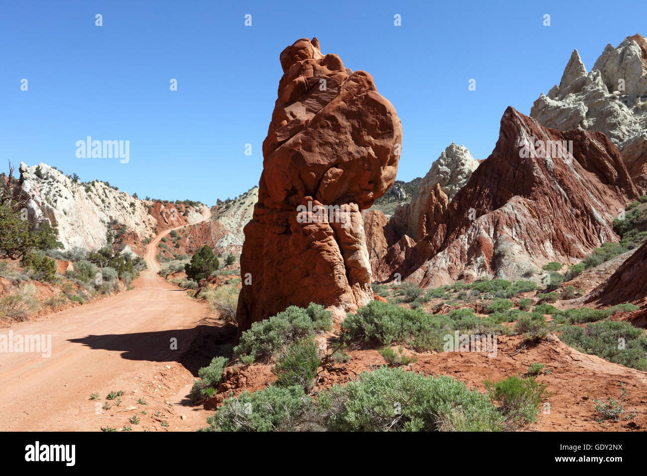 Candyland hires stock photography and images Alamy