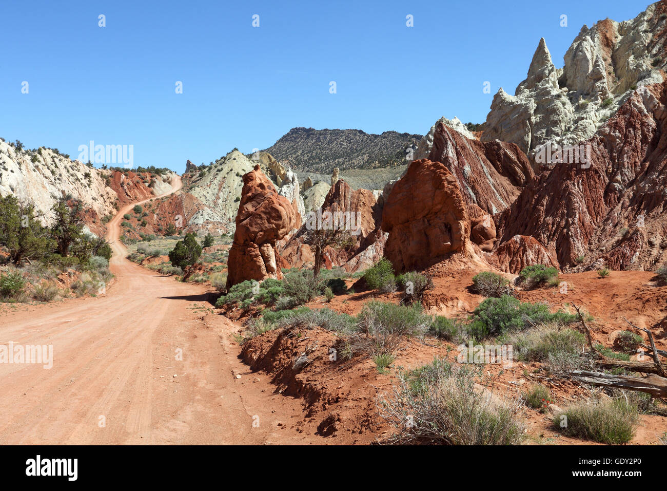 Candyland hires stock photography and images Alamy