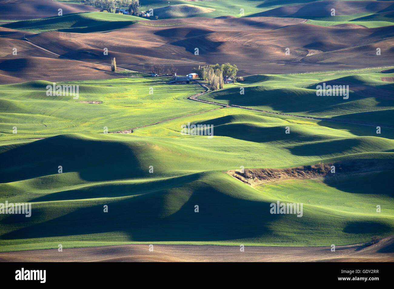 geography / travel, USA, Washington, landscapes, view from Steptoe Butte, Additional-Rights 