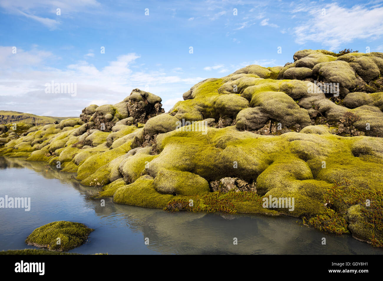 Moss grown lava field and small stream in southern Iceland Stock Photo