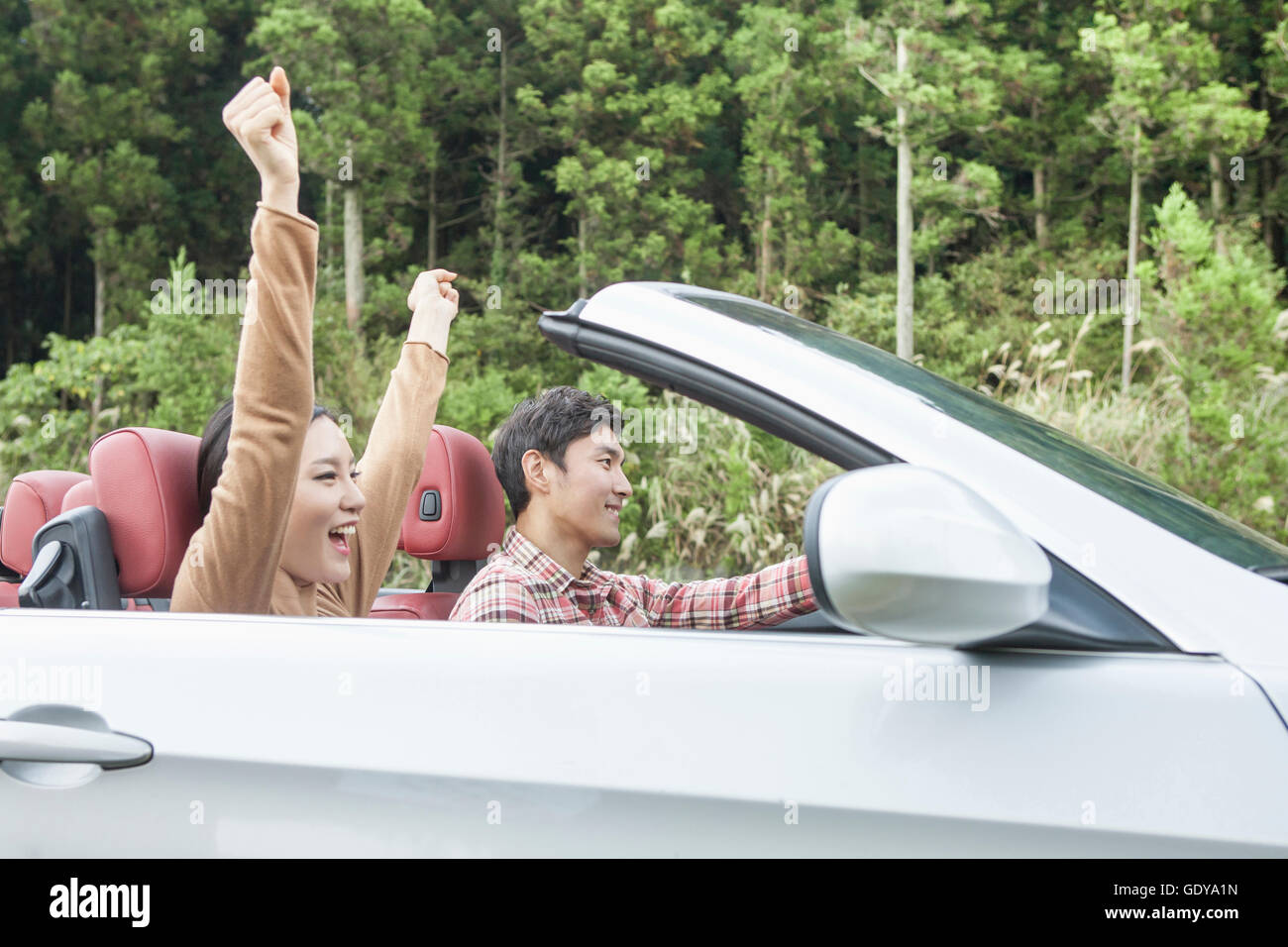 Side view portrait of young smiling couple travelers in a car Stock ...