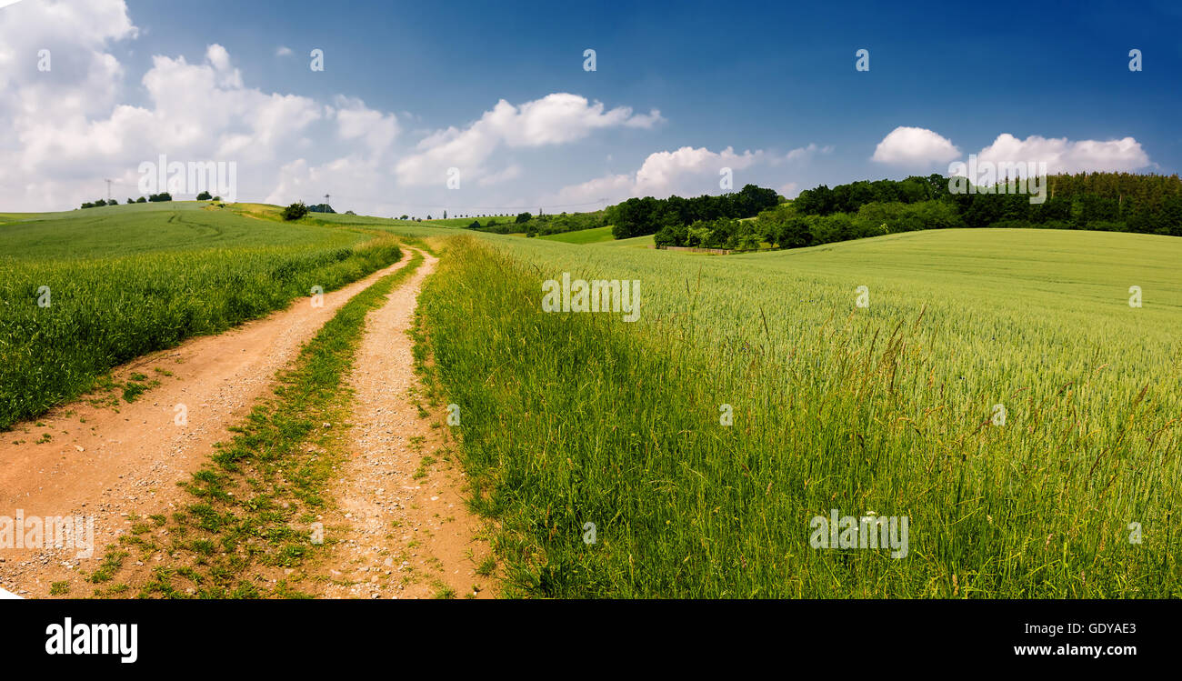 sunny green field panorama Stock Photo - Alamy