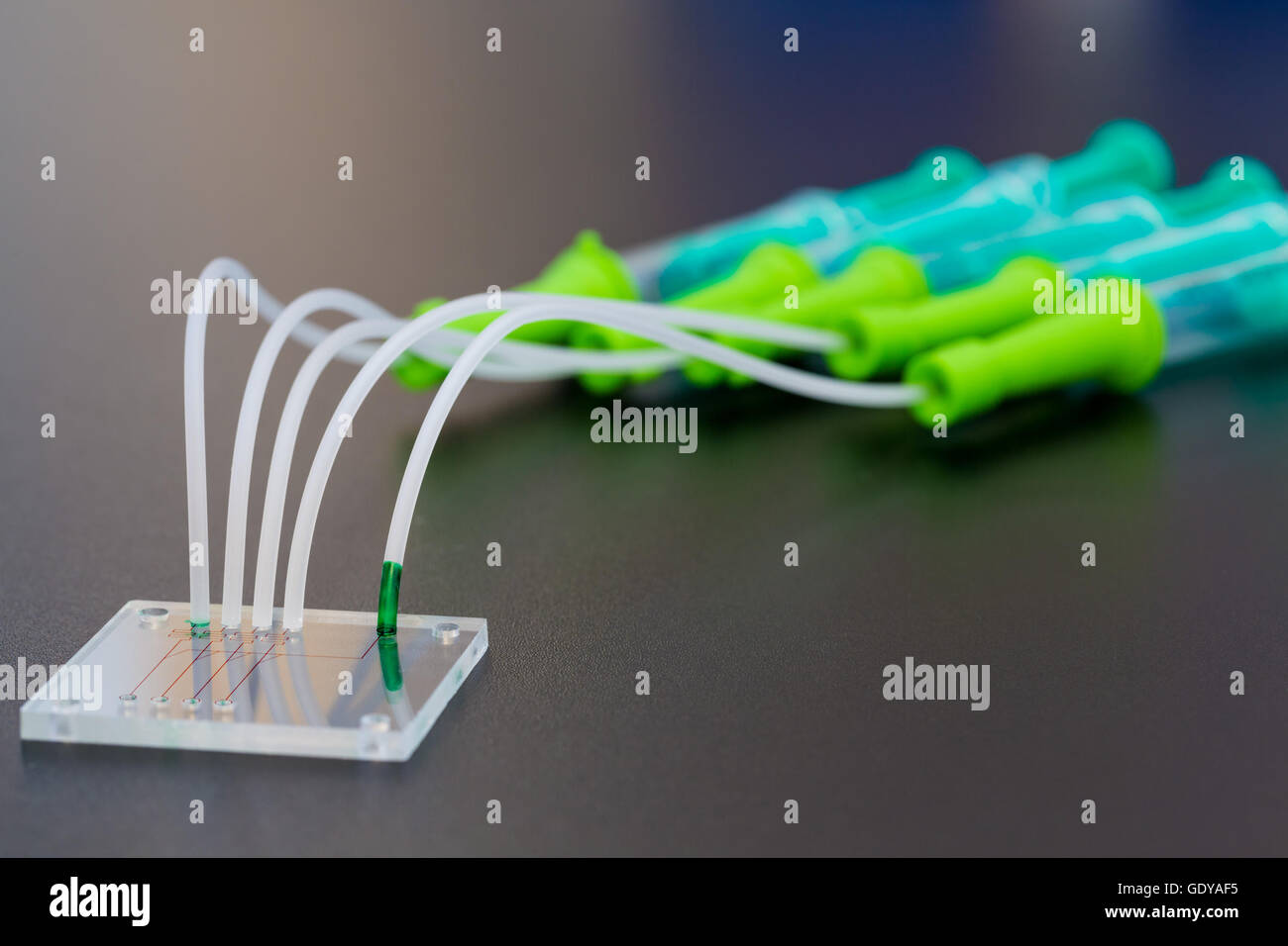 A lab on chip is device integrates several laboratory processes in one