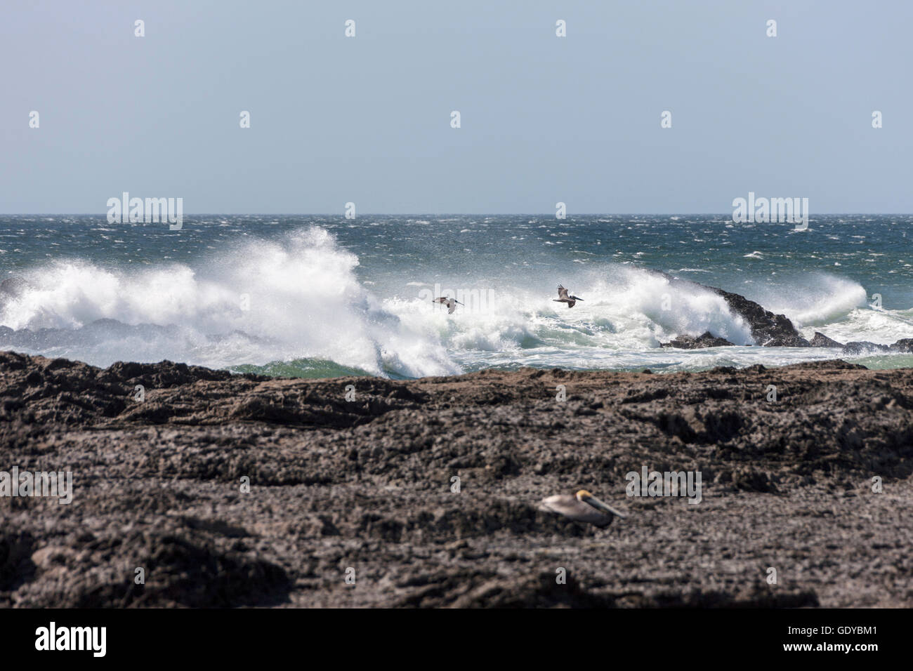 High tide in sea, Tamarindo Stock Photo Alamy