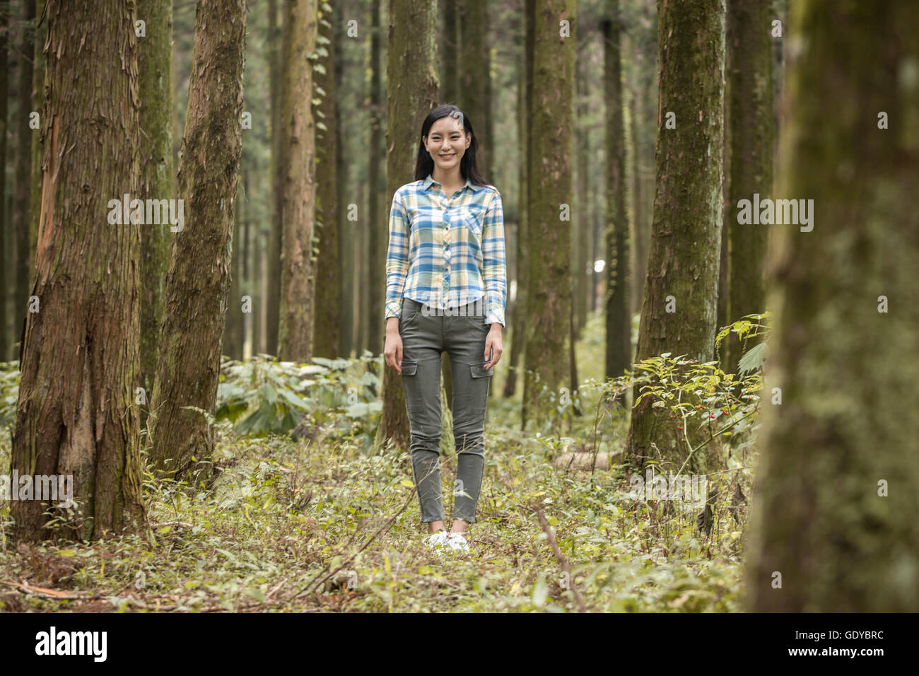 Woman standing in forest hi-res stock photography and images - Alamy