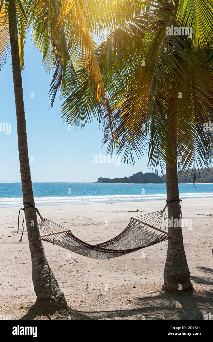 Hammock tied to tree trunk at beach, Samara, Costa Rica Stock Photo Alamy
