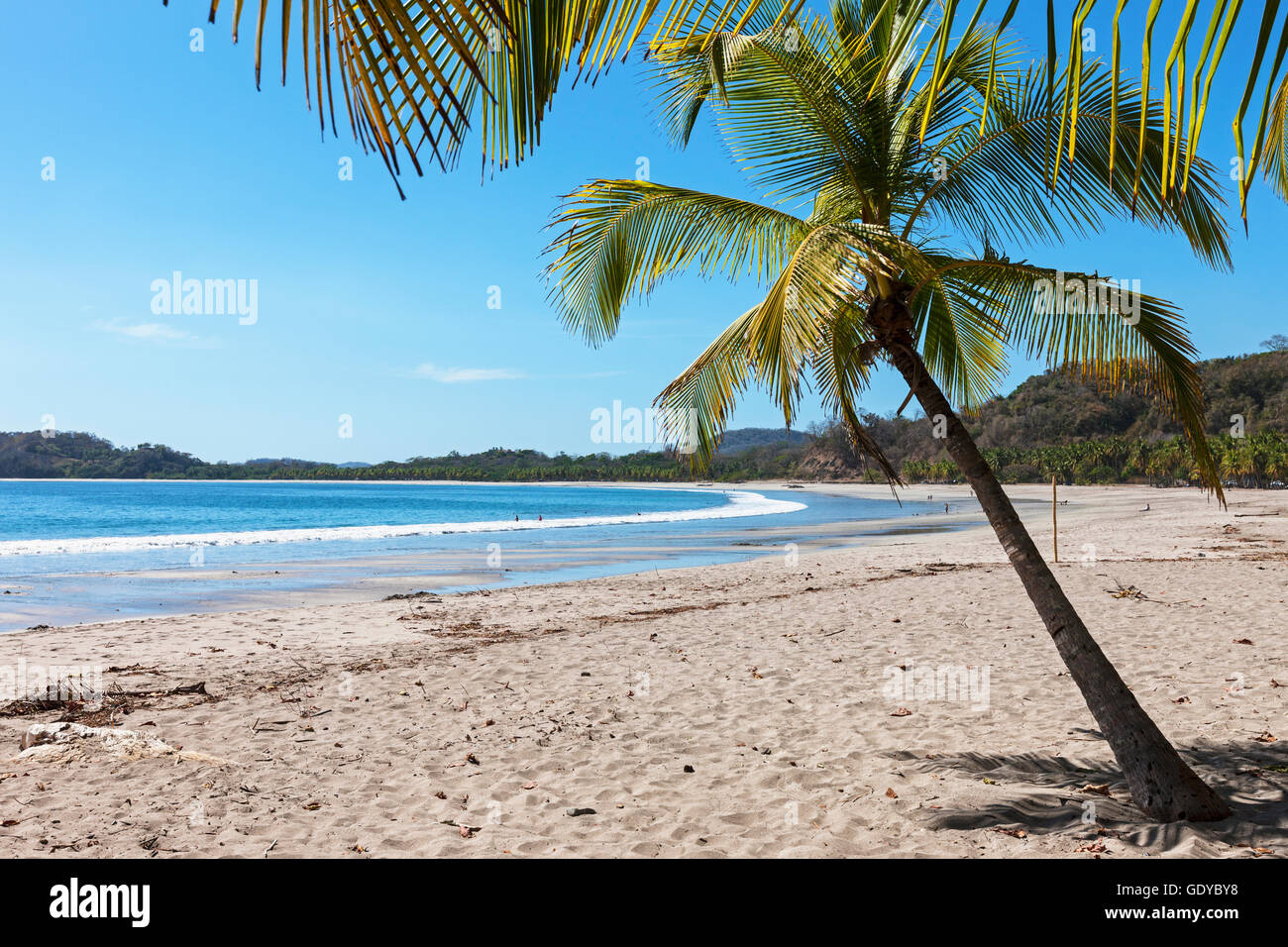 Samara Costa Rica High Resolution Stock Photography And Images Alamy