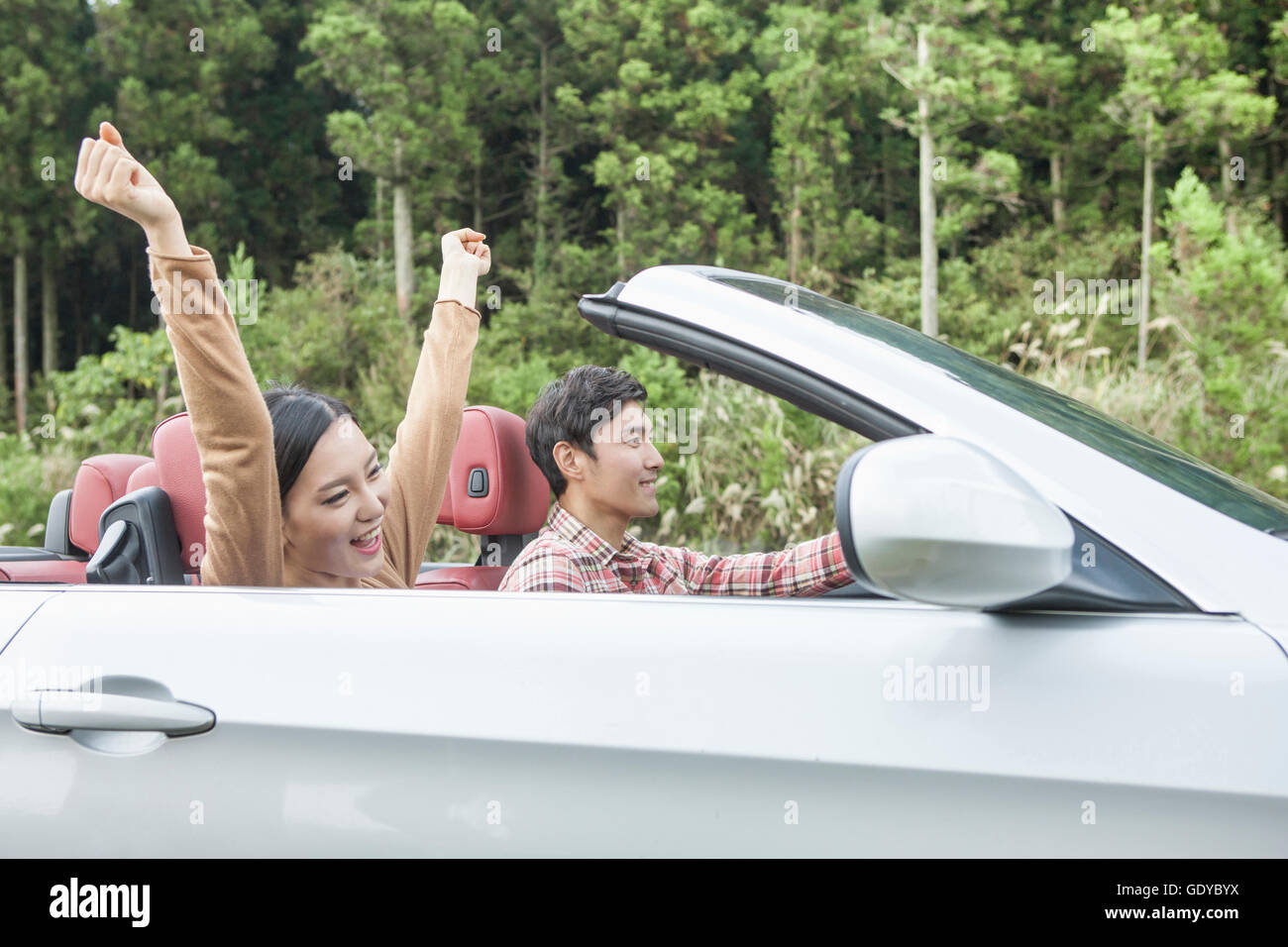 Side view of young smiling couple in a car Stock Photo