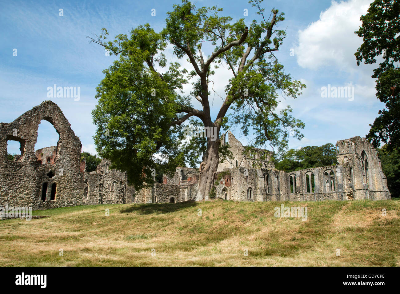 Netley Abbey was built by Cistercian monks in the 13th century, dissolved by Henry VIII and converted to a manor house before falling into disrepair Stock Photo