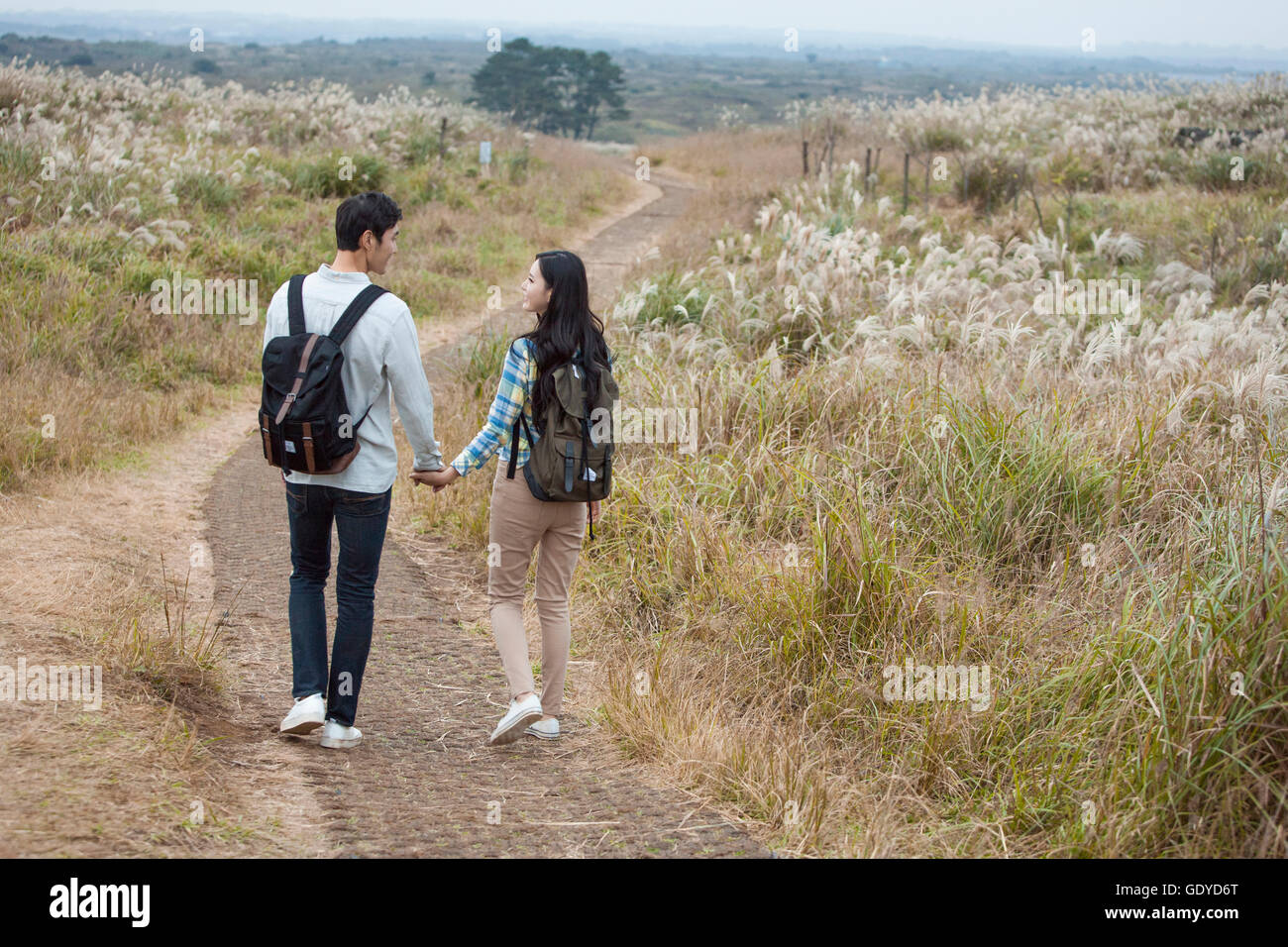 Back of young smiling couple walking hand in hand face to face on path ...