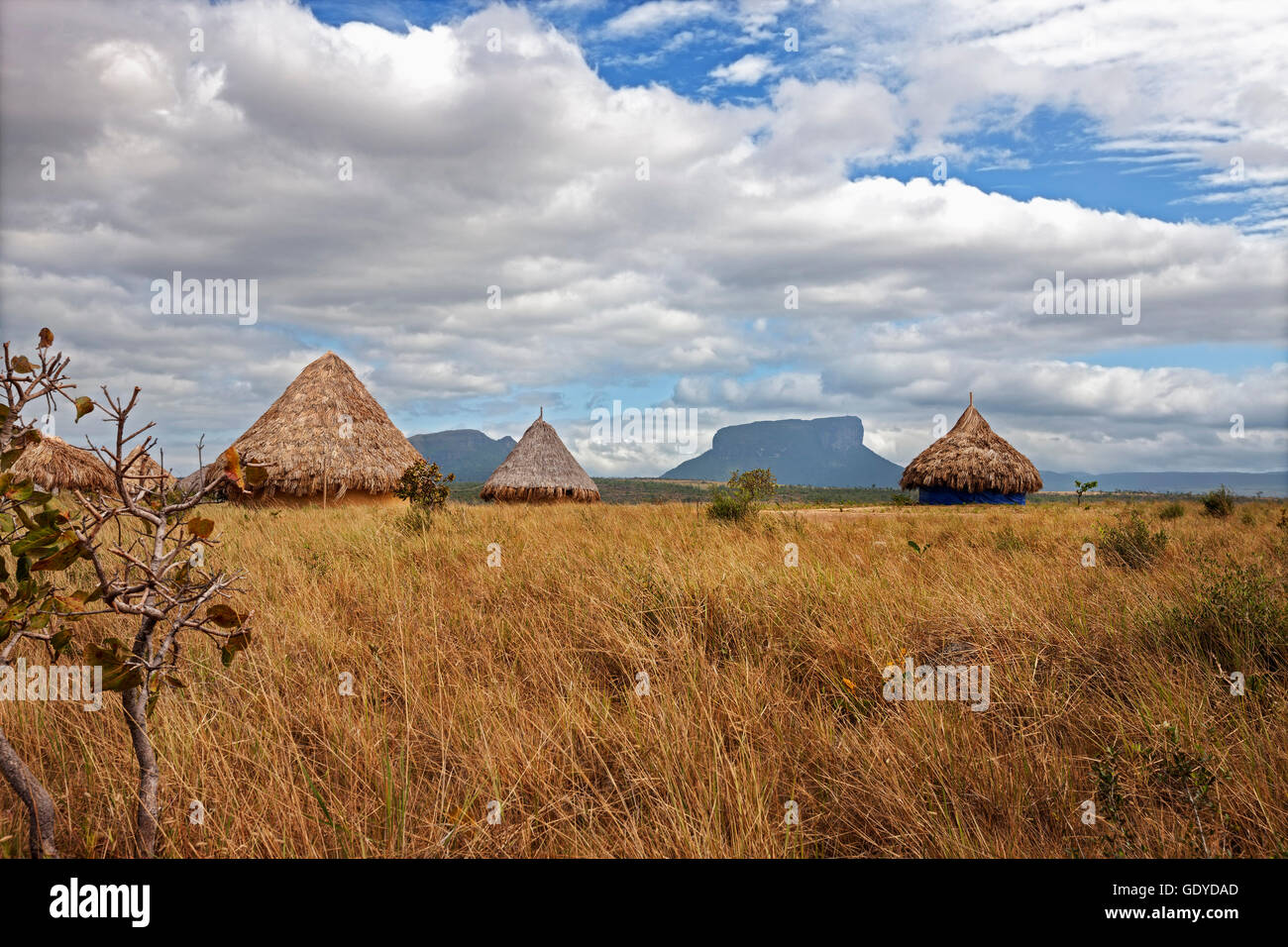 Grass huts in a village, Canaima National Park, Venezuela Stock Photo