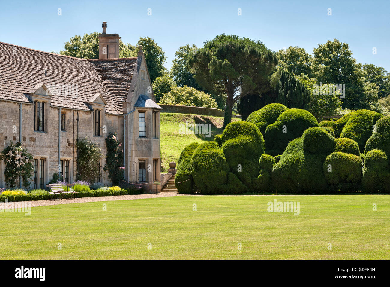 Rockingham Castle, Corby, Northamptonshire, UK. The 400 year old 'Elephant Hedge', a double row of clipped yew Stock Photo